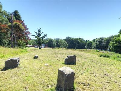 Picture 27